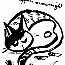 Cat poster